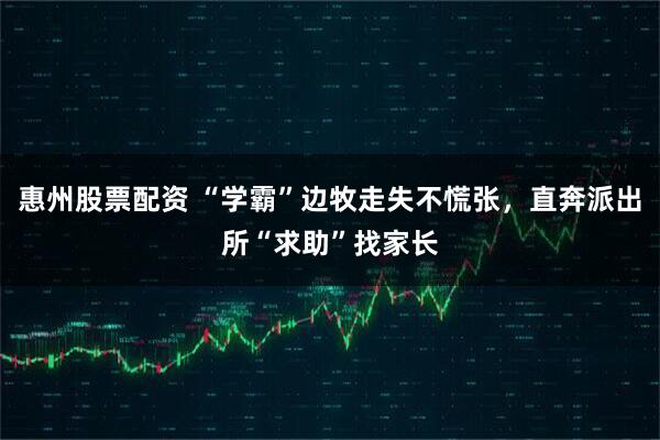 惠州股票配资 “学霸”边牧走失不慌张，直奔派出所“求助”找家长